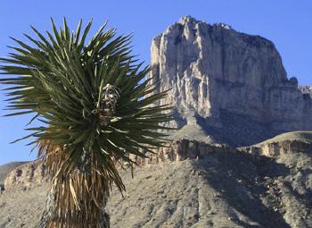 Texas Pacific Land Corp